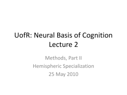 UofR: Neural Basis of Cognition Lecture 2