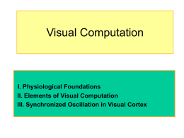 Lecture 4: Visual Perception October 1, 1999
