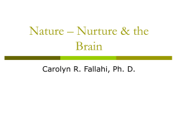 Overheads – Nature, Nurture, Infant Development, Brain