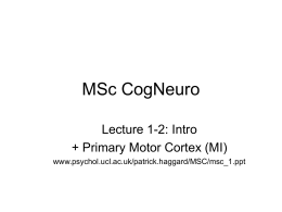 MSc Cognitive Neuropsychology Action module