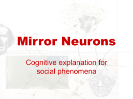 Mirror Neurons - UCSD Cognitive Science