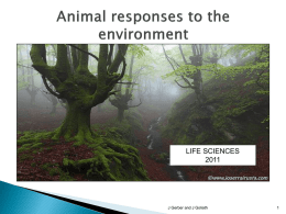 Animal responses to the environment