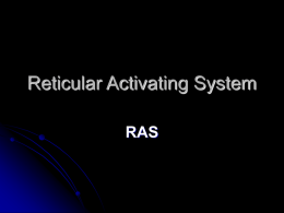 Reticular Activating System - University of Kansas Medical