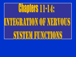 Chapter 11- 14 Integration of Nervous System Functions