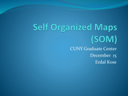 Self Organized Maps (SOM)