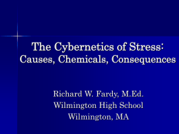 The Cybernetics of Stress