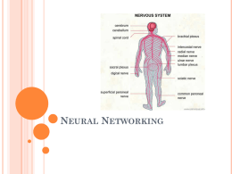 Neural Networking