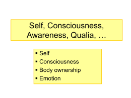 Consciousness and Awareness