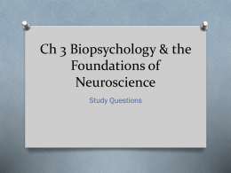 Ch 3 Biopsychology & the Foundations of Neuroscience