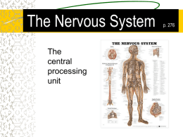 The Nervous System - Underground Notes