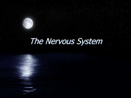 The Nervous System - Francis Howell High School