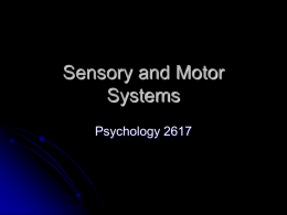 Sensory and Motor Systems