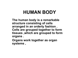 HUMAN BODY - IUST Dentistry