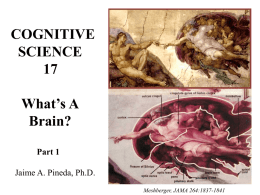 What's a Brain? Part 1 - UCSD Cognitive Science
