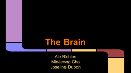 The Brain - Downey Unified School District