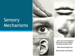 Sensory Mechanisms - Bio Resource Site