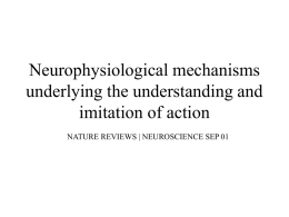 Neurophysiological mechanisms underlying the understanding