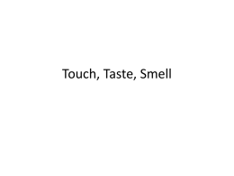 Touch, Taste, Smell - Downey Unified School District