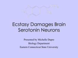 Ecstasy Damages Brain Serotonin Neurons