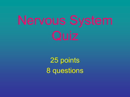 Nervous System Quiz #1