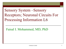 Sensory System –L4