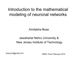 Dynamics of neuronal networks