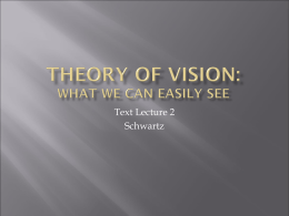Theory of Vision: What We Can Easily See