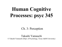 Human Cognitive Processes