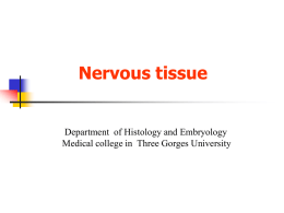 8-Nervous tissue