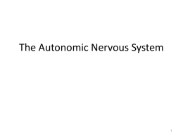 Autonomic NS