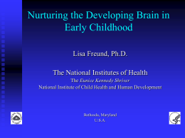 brain development - Waldorf Research Institute