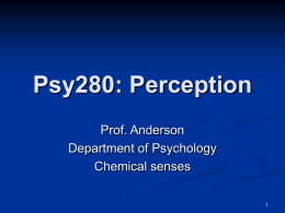 Chemical senses - Department of Psychology