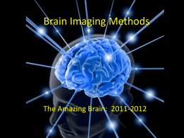 Methods for Brain Imaging