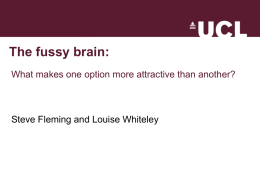 Powerpoint Presentation for "The Fussy Brain"