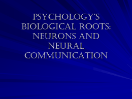 Psychology`s biological roots: neurons and neural communication