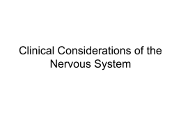 Bio_246_files/Clinical Considerations of the Nervous System