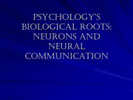 Psychology`s biological roots: neurons and neural communication