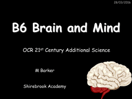 B6 Brain and Mind