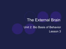 The External Brain