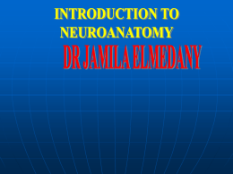 01. INTRODUCTION OF N.S(Dr.Jamila)