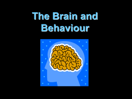 The Brain and Behaviour