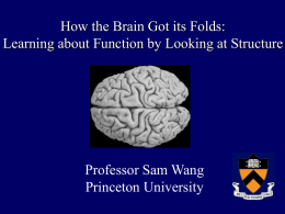 Science on Saturday talk by Sam Wang
