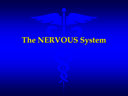 Unit 6 Nervous System