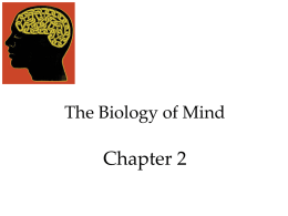 The Biology of Mind take