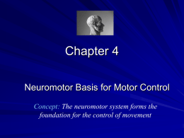 Chapter 4. Neuromotor Basis for Motor Control