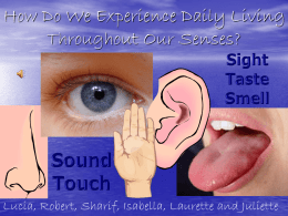 How Do We Experience Daily Living Throughout Our Senses?
