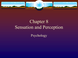 Chapter 5 Sensation and Perception