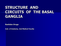 Circuit of the basal ganglia