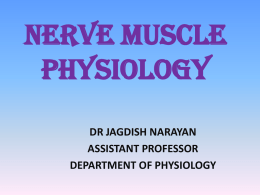 Nerve Muscle Physiology