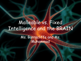 Malleable vs. Fixed Intelligence